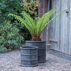 Greystoke Barrel Planter -Cheap Plants Store pr2000046297 card9 lg