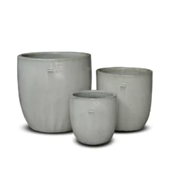 Glazed Ceramic Pot - White 12 Glazed Ceramic Pot - White -Cheap Plants Store pr2000046300 card4 lg