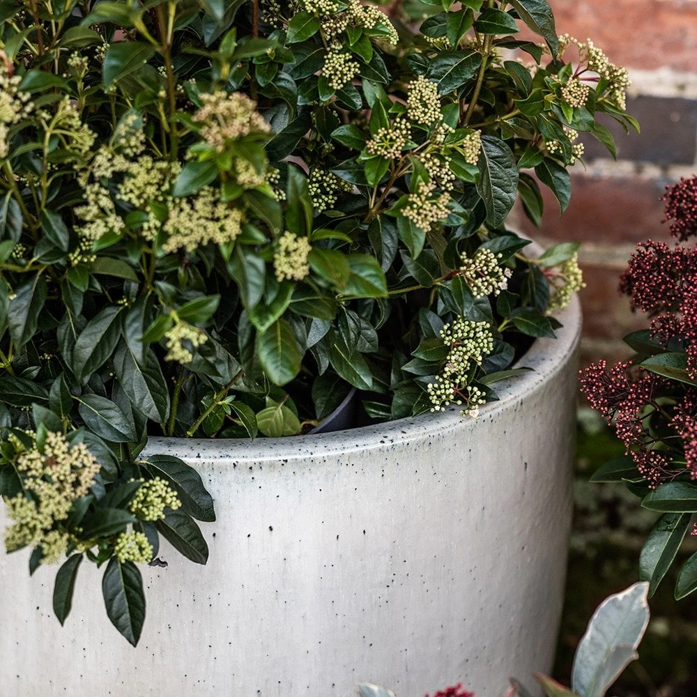 Glazed Ceramic Pot - White 8 Glazed Ceramic Pot - White - Image 8