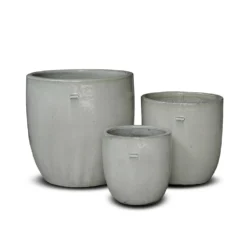 Glazed Ceramic Pot - White 17 Glazed Ceramic Pot - White -Cheap Plants Store pr2000046300 card9 lg