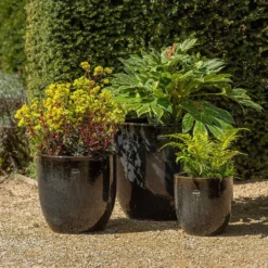 Glazed Ceramic Pot - Misty Black -Cheap Plants Store pr2000046301 card3 lg