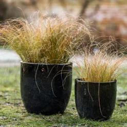 Glazed Ceramic Pot - Misty Black -Cheap Plants Store pr2000046301 card5 lg