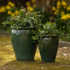 Glazed Terracotta Tulip Pot - Misty Green -Cheap Plants Store pr2000046304 card4 lg