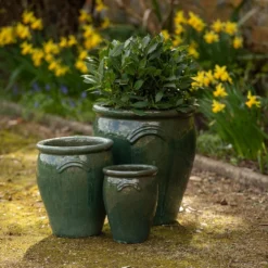 Glazed Terracotta Tulip Pot - Misty Green -Cheap Plants Store pr2000046304 card6 lg