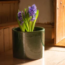 Glazed Ceramic Cylinder Crackle Green -Cheap Plants Store pr2000046309 card6 lg