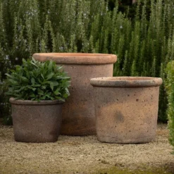 Terracotta Pot - Sandblasted -Cheap Plants Store pr2000046311 card4 lg