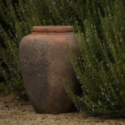 Terracotta Jar - Sandblasted 9 Terracotta Jar - Sandblasted -Cheap Plants Store pr2000046313 card3 lg