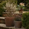 Tapered Terracotta Pot - Sandblasted