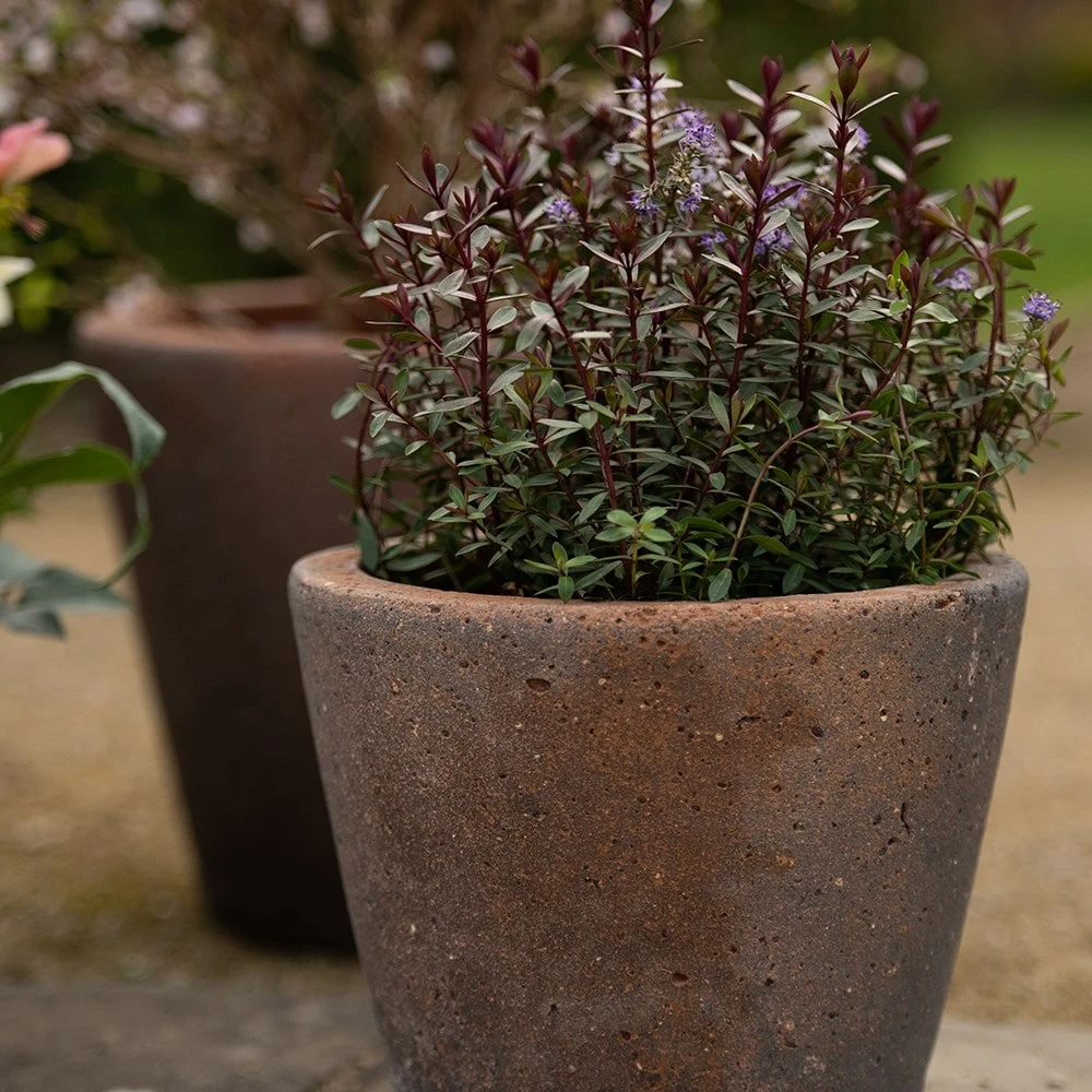Tapered Terracotta Pot - Sandblasted 3 Tapered Terracotta Pot - Sandblasted - Image 3