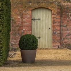 Tapered Terracotta Pot - Sandblasted 12 Tapered Terracotta Pot - Sandblasted -Cheap Plants Store pr2000046314 card6 lg