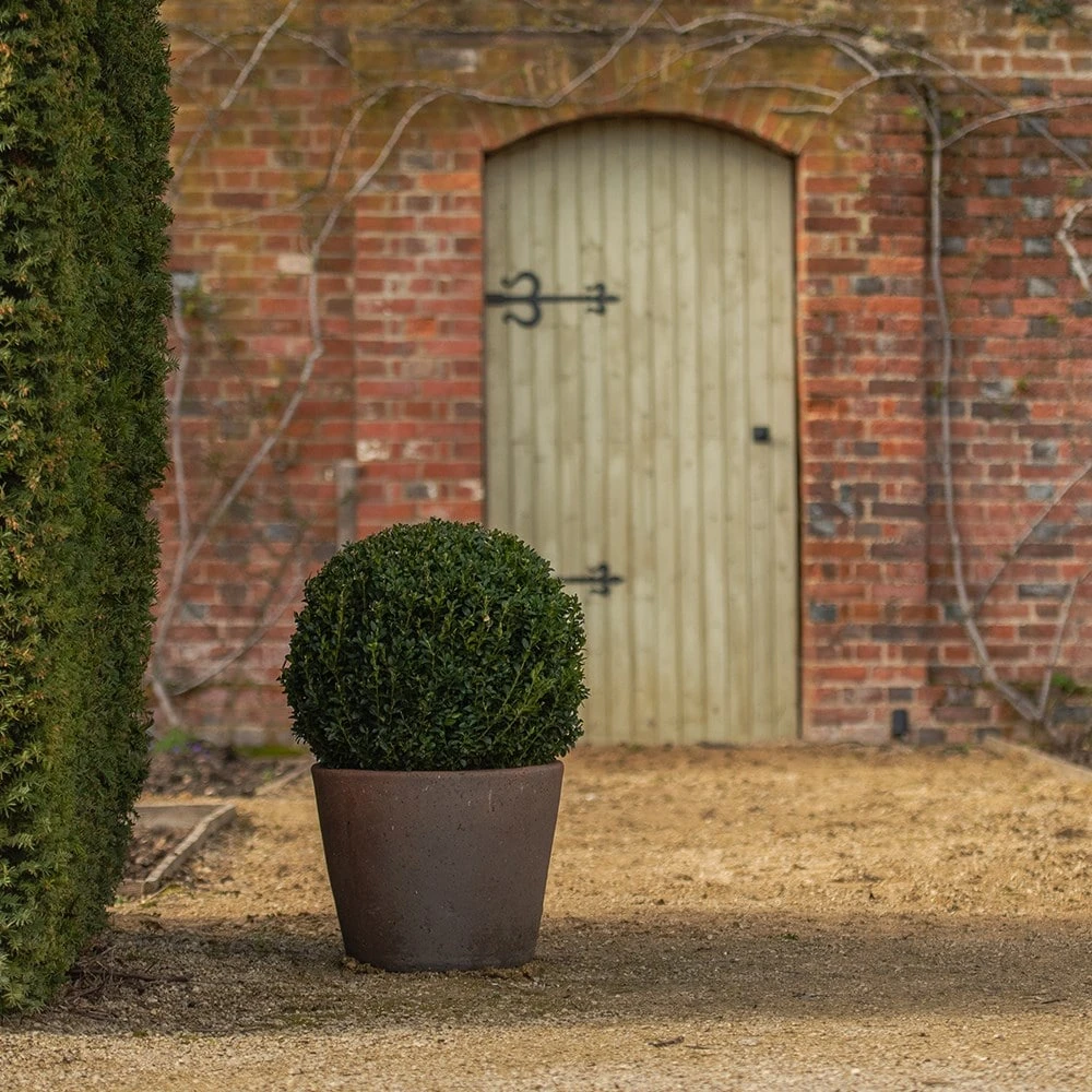 Tapered Terracotta Pot - Sandblasted 6 Tapered Terracotta Pot - Sandblasted - Image 6