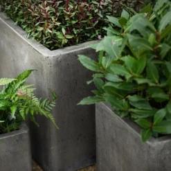 Cement Cube Pot - Waxed -Cheap Plants Store pr2000046317 card3 lg