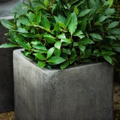 Cement Cube Pot - Waxed -Cheap Plants Store pr2000046317 card4 lg