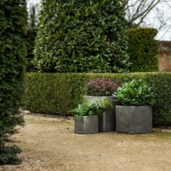 Cement Cube Pot - Waxed -Cheap Plants Store pr2000046317 card6 lg