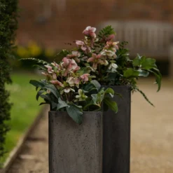 Tall Cement Cube Pot - Waxed -Cheap Plants Store pr2000046318 card7 lg