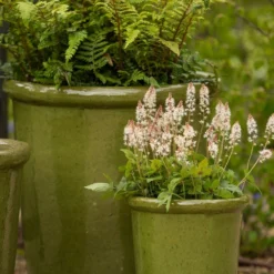 Glazed Ceramic Pot - Green -Cheap Plants Store pr2000046324 card4 lg