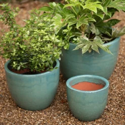 Glazed Terracotta Pot - Reef Blue -Cheap Plants Store pr2000046329 card4 lg