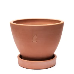 Terracotta Herb Pot And Saucer - Small -Cheap Plants Store pr2000046524 card3 lg
