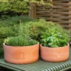 Terracotta Herb Bowl - Large