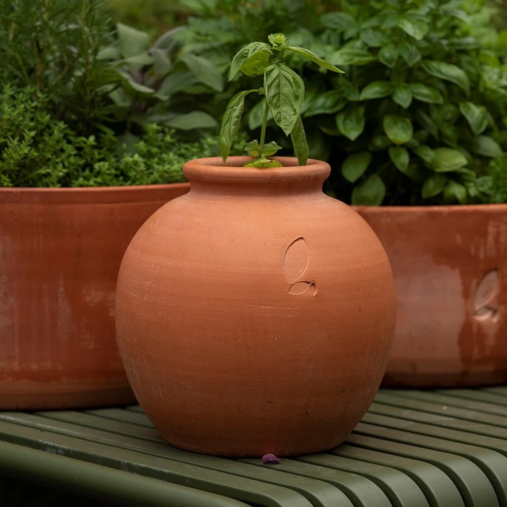 Terracotta Erigeron Pot - Small 3 Terracotta Erigeron Pot - Small - Image 3