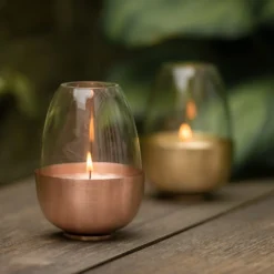Tulip Tealight Holder - Copper -Cheap Plants Store pr2000046888 card8 lg