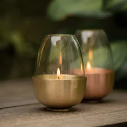Tulip Tealight Holder - Brass -Cheap Plants Store pr2000046889 card8 lg