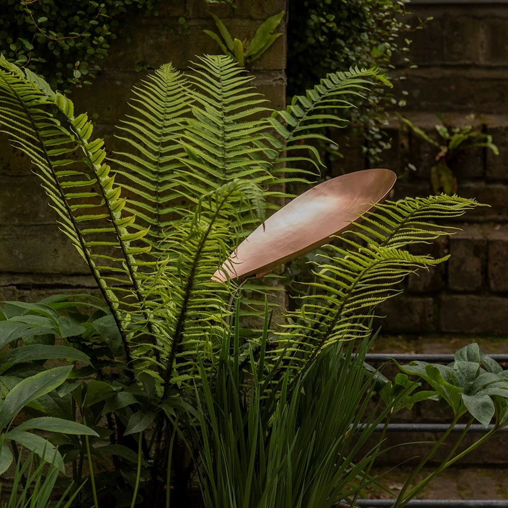 Pot Watering Droplet - Copper Scallop 2 Pot Watering Droplet - Copper Scallop - Image 2