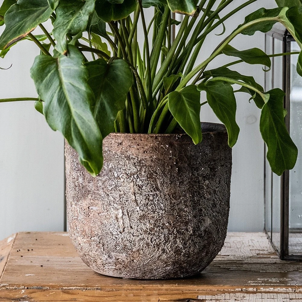 Rustic Plant Pot - Brown 3 Rustic Plant Pot - Brown - Image 3