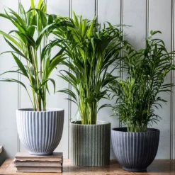 Ribbed Terracotta Plant Pot - Light Grey -Cheap Plants Store pr2000047914 card3 lg
