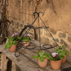 Tiered Plant Theatre - 6 Pots 9 Tiered Plant Theatre - 6 Pots -Cheap Plants Store pr2000048005 card3 lg