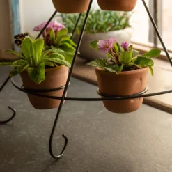 Tiered Plant Theatre - 6 Pots 12 Tiered Plant Theatre - 6 Pots -Cheap Plants Store pr2000048005 card6 lg