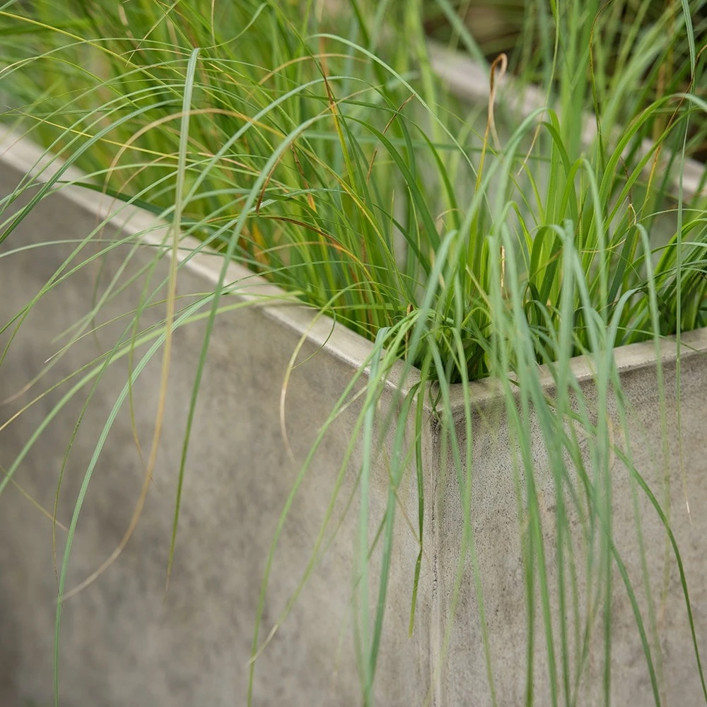 Rectangular Terrace Planter - Weathered Cream 6 Rectangular Terrace Planter - Weathered Cream - Image 6