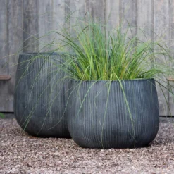 Ripple Bowl Planter - Ash Grey -Cheap Plants Store pr2000048719 card3 lg