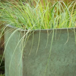 Square Terrace Planter - Verdigris -Cheap Plants Store pr2000048721 card8 lg