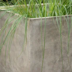 Square Terrace Planter - Weathered Cream -Cheap Plants Store pr2000048723 card5 lg