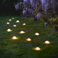 Solar Pebble Light - Large 10 Solar Pebble Light - Large -Cheap Plants Store pr2000049107 card5 lg