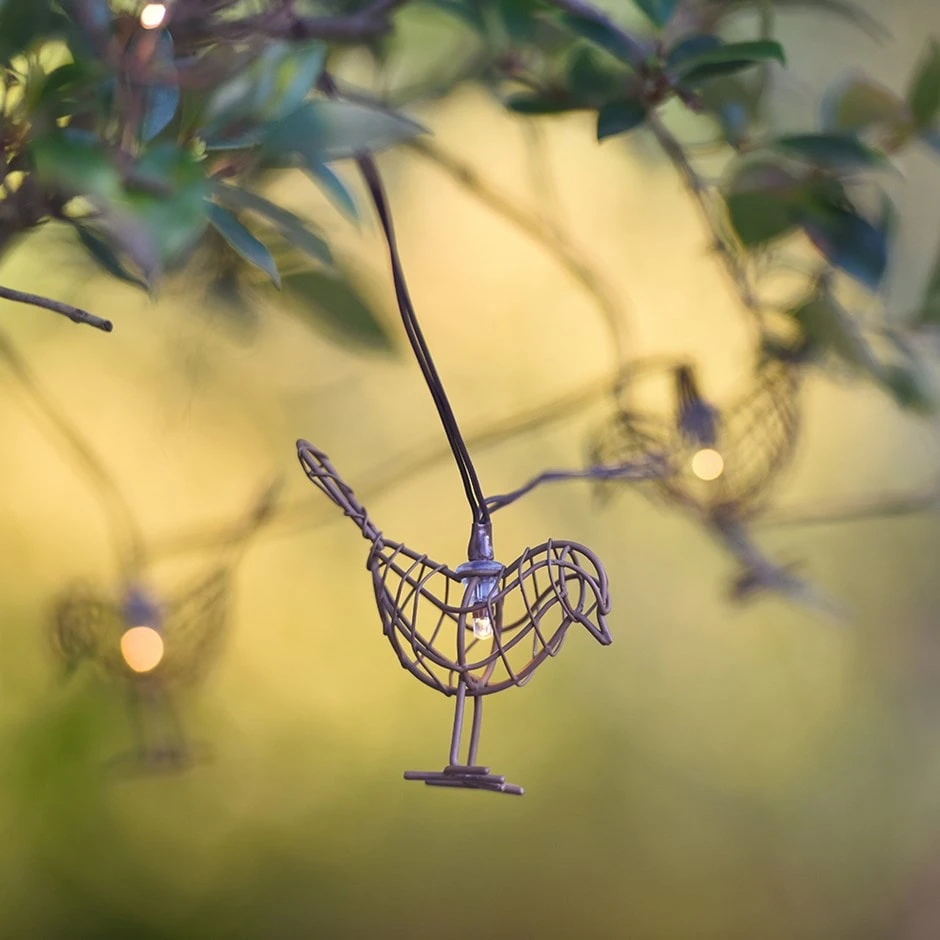 Solar Robins String Lights Warm White 1 Solar Robins String Lights Warm White