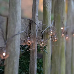 Solar Robins String Lights Warm White 8 Solar Robins String Lights Warm White -Cheap Plants Store pr2000049109 card4 lg